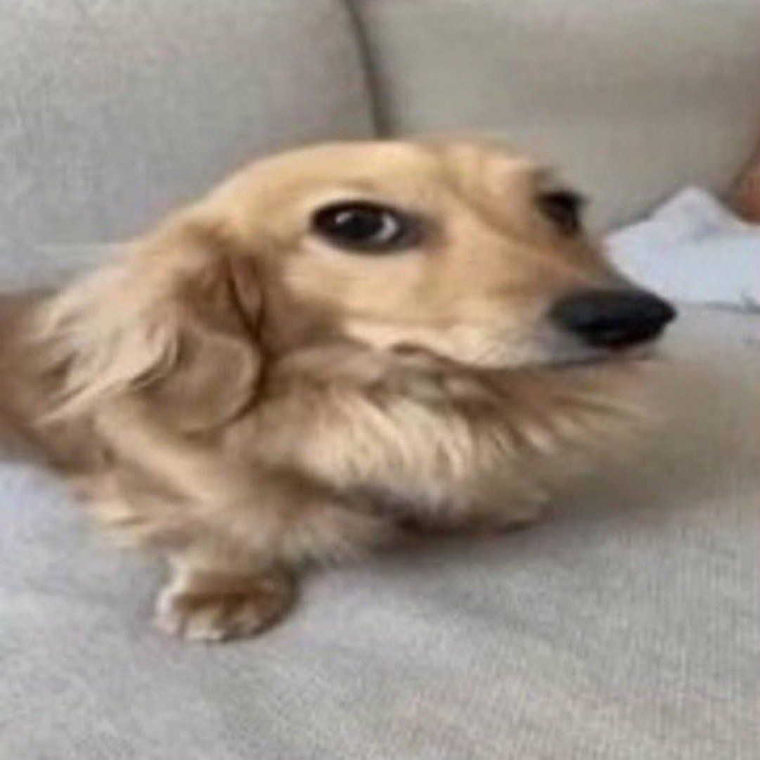 Фото студента