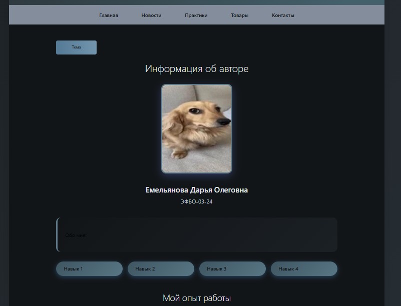 Обложка практики 1