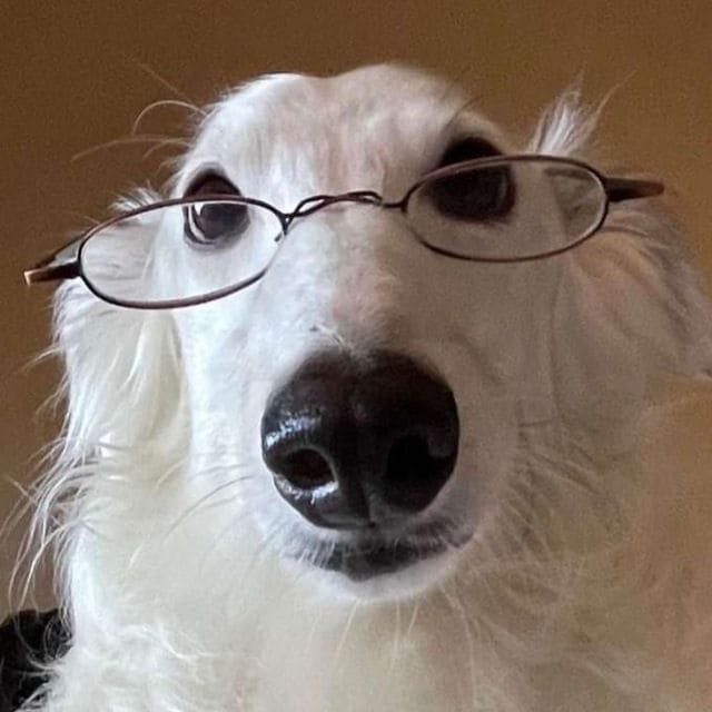 Забавное фото