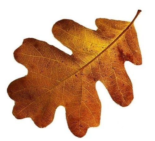 Новая плотная раскладка главной страницы